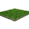 Bermuda Blend - TurfHub