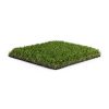 Bermuda Blend - TurfHub