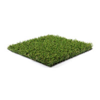 Natural Fescue Blend