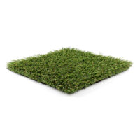 Natural Fescue Elite