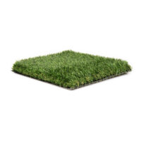 ECO Green