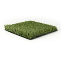 Fescue Blend Pro